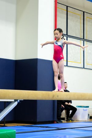 Gymnastics - 2024 GYMNASTICS MEET | TYPA