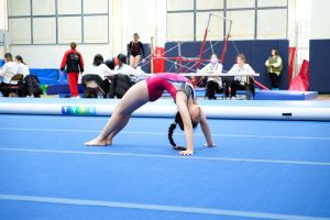 Gymnastics - 2024 GYMNASTICS MEET | TYPA