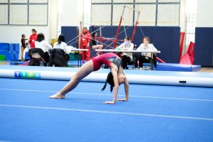 Gymnastics - 2024 GYMNASTICS MEET | TYPA