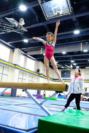 Gymnastics - 2024 GYMNASTICS MEET | TYPA