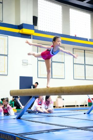 Gymnastics - 2024 GYMNASTICS MEET | TYPA