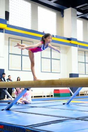 Gymnastics - 2024 GYMNASTICS MEET | TYPA