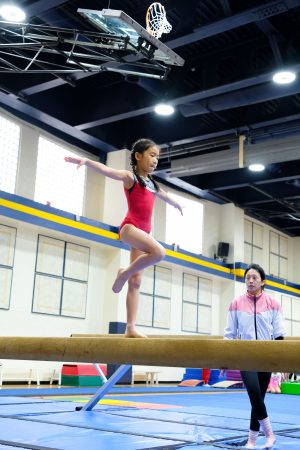 Gymnastics - 2024 GYMNASTICS MEET | TYPA