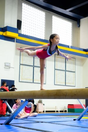 Gymnastics - 2024 GYMNASTICS MEET | TYPA