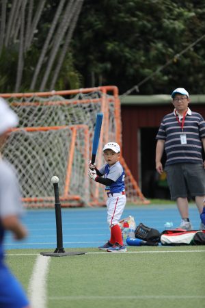 Baseball (Intro) - BSB WEEK 2 | TYPA