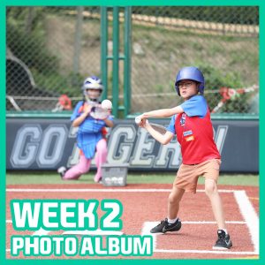 Baseball (Intro) - BSB WEEK 2 | TYPA