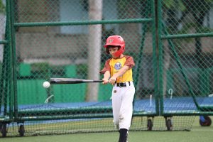 Baseball (Intro) - BSB WEEK 3 | TYPA