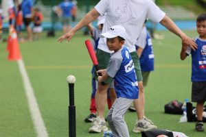 Baseball (Intro) - BSB WEEK 4 | TYPA