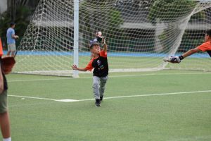 Baseball (Intro) - BSB WEEK 4 | TYPA