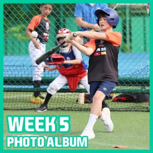 Baseball (Intro) - BSB WEEK 5 | TYPA