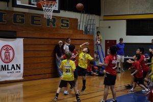 Basketball - BKB Week 3 | TYPA