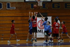 Basketball - BKB Week 3 | TYPA