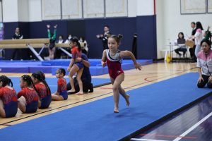 Gymnastics - 2025 Gymnastics Meet | TYPA