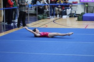 Gymnastics - 2025 Gymnastics Meet | TYPA