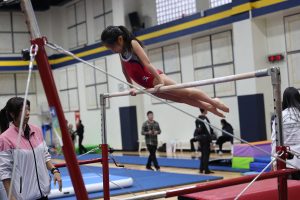 Gymnastics - 2025 Gymnastics Meet | TYPA
