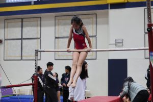 Gymnastics - 2025 Gymnastics Meet | TYPA