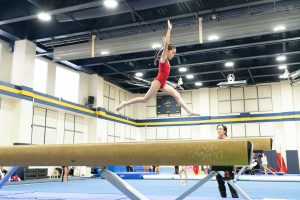 Gymnastics - 2025 Gymnastics Meet | TYPA