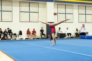 Gymnastics - 2025 Gymnastics Meet | TYPA