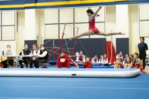 Gymnastics - 2025 Gymnastics Meet | TYPA
