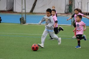 Soccer - SOC Week 2 | TYPA