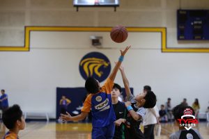 Basketball - BKB Week 3 | TYPA