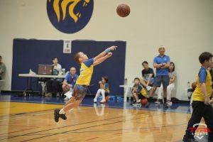 Basketball - BKB Week 5 | TYPA